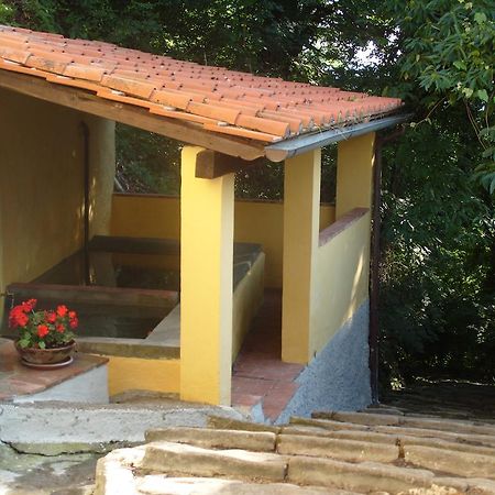 Il Podere Di Giada Bed and Breakfast Bagni di Lucca Eksteriør billede