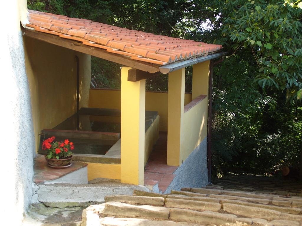 Il Podere Di Giada Bed and Breakfast Bagni di Lucca Eksteriør billede