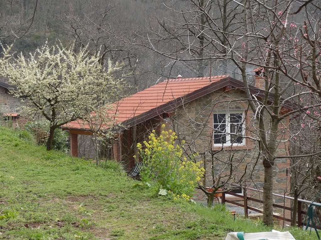 Il Podere Di Giada Bed and Breakfast Bagni di Lucca Værelse billede